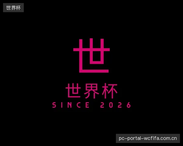 了解世界杯平台